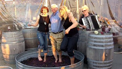 Three people stomping the grapes as an accordianist plays