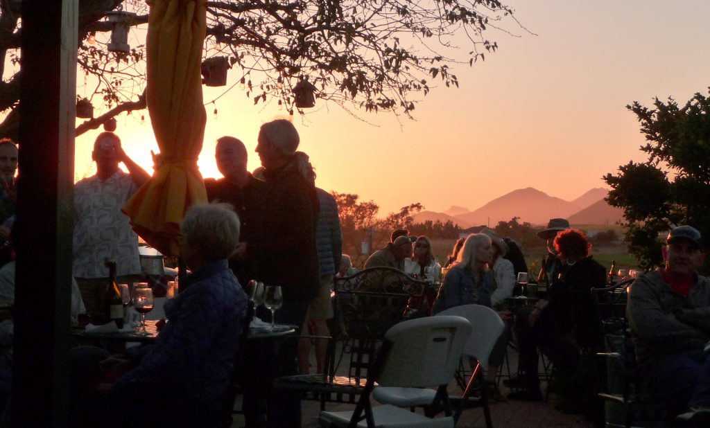 sunset in the vineyard
