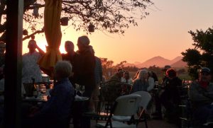 sunset in the vineyard