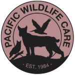 Logo with bobcat, owl and pelican